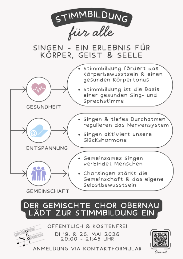 StimmbildungPlakat A3